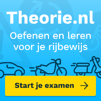 theorie-nl