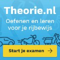 Bekijk details van Theorie.nl